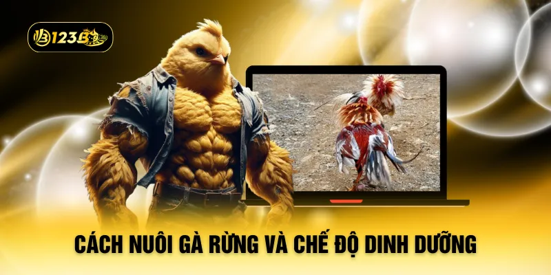 Cách nuôi gà rừng và chế độ dinh dưỡng