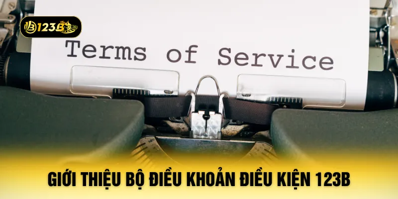 Giới thiệu bộ điều khoản điều kiện 123B